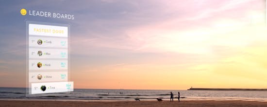 Findster gallery image