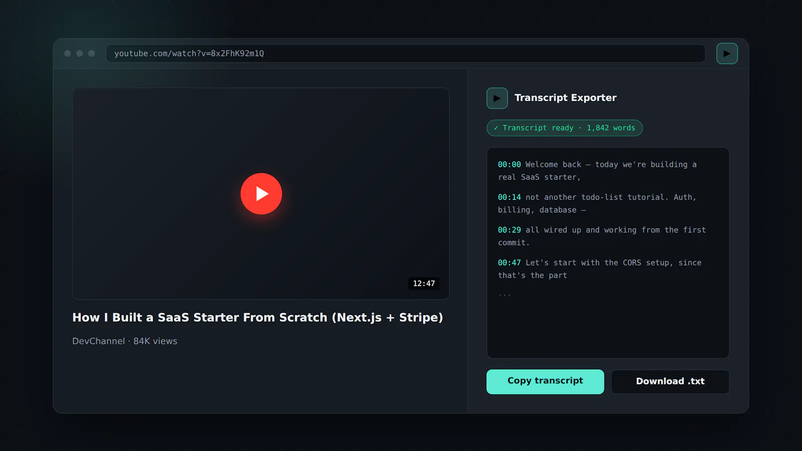 YouTube Transcript Exporter screenshot 2