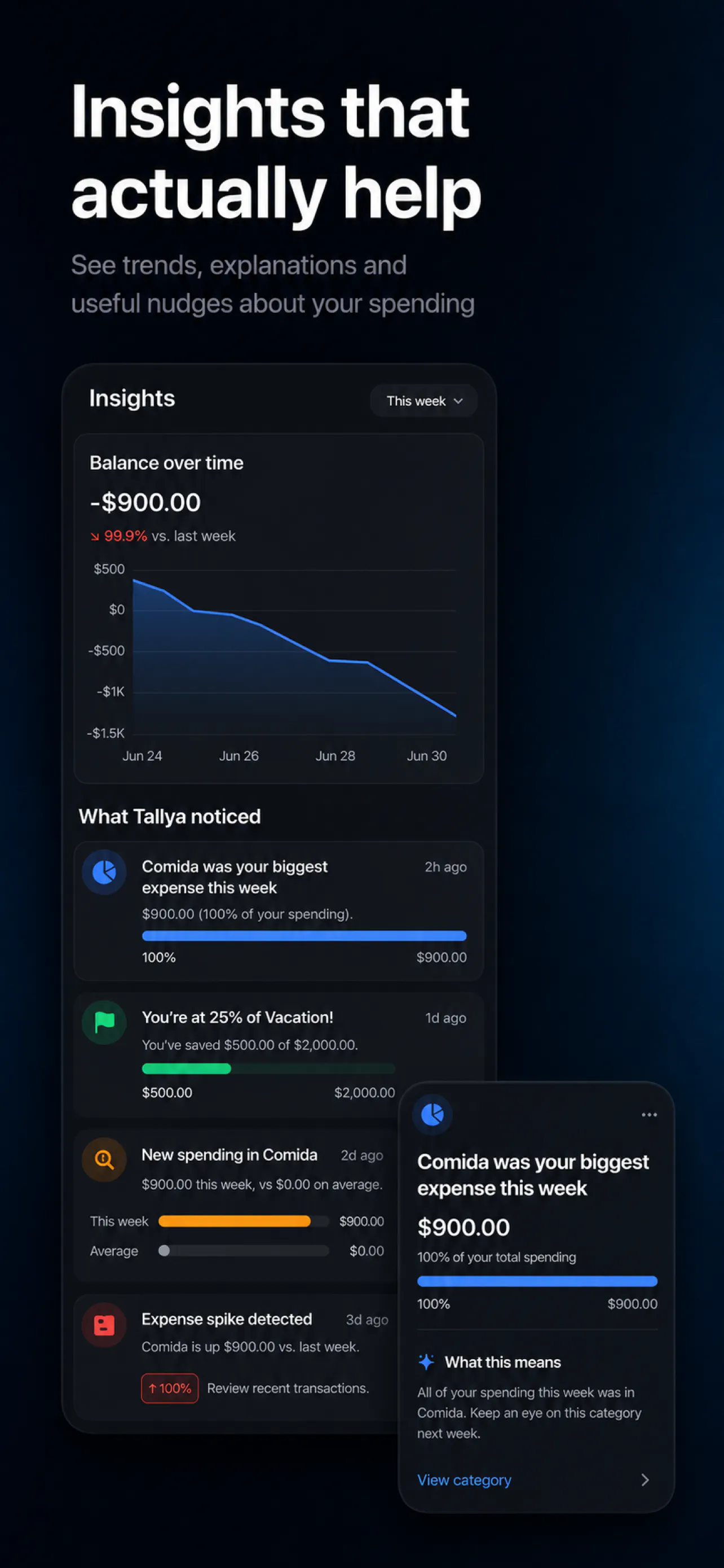 Tallya AI Money and Budget 截图 4