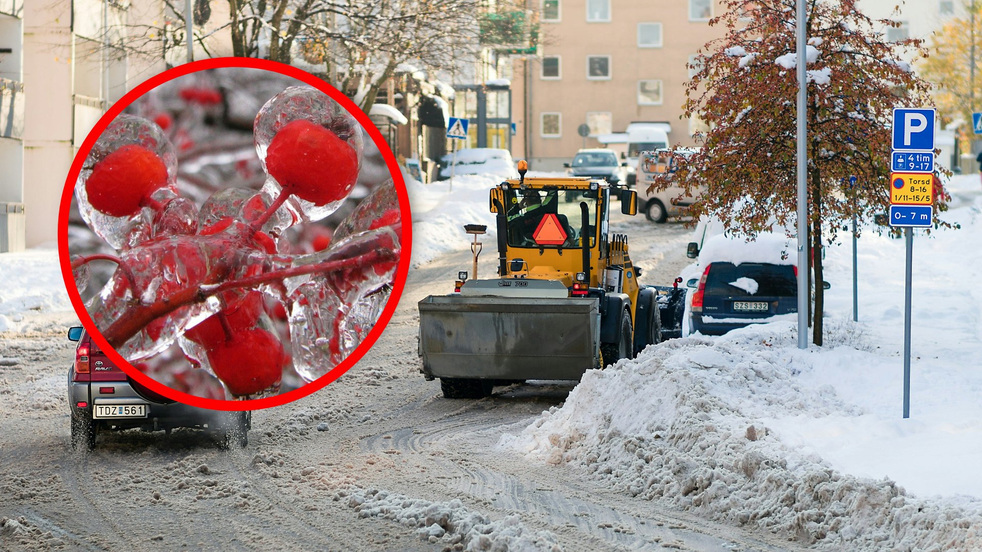 ZipZapic.com gallery image