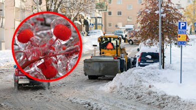 ZipZapic.com gallery image