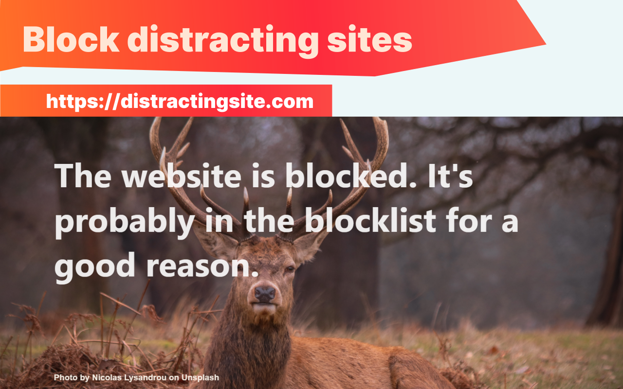 Baitblock gallery image