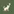 Pawfolio