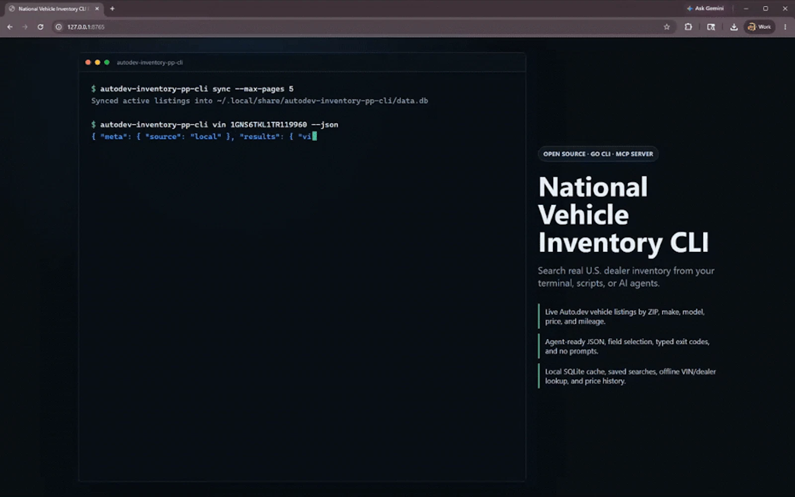 National Vehicle Inventory CLI screenshot 1 (video preview)