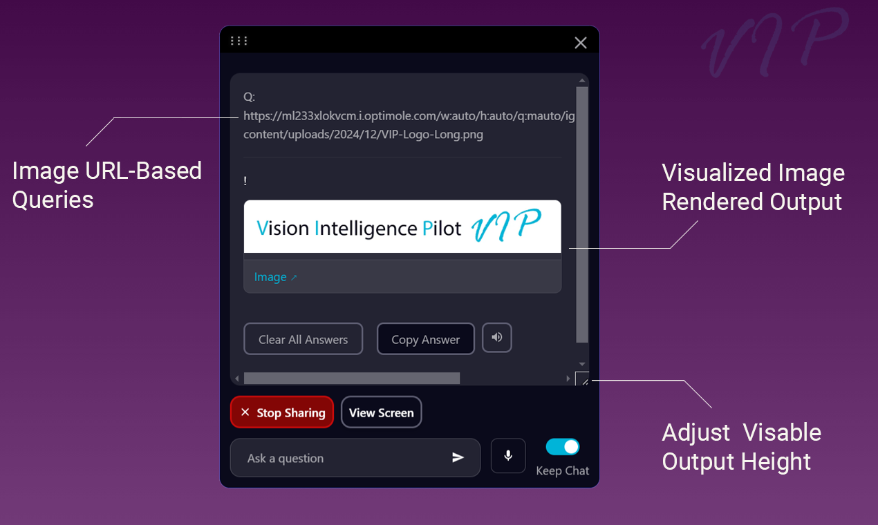 VIP - Visual Intelligence Pilot  gallery image