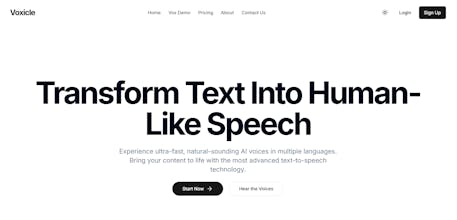 Voxicle gallery image