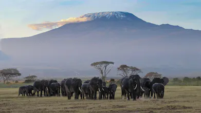 Africantrust Safari gallery image