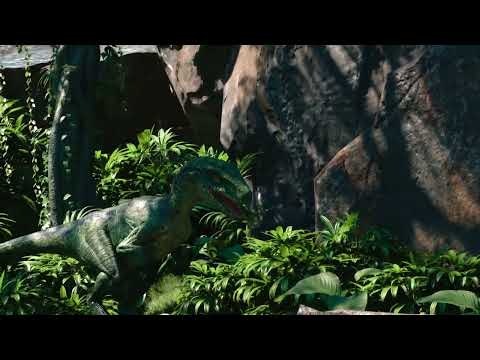 EVOLVE gallery image