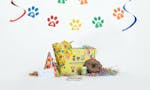 Birthday kit for dogs image