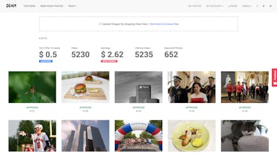 Ulna Photos gallery image