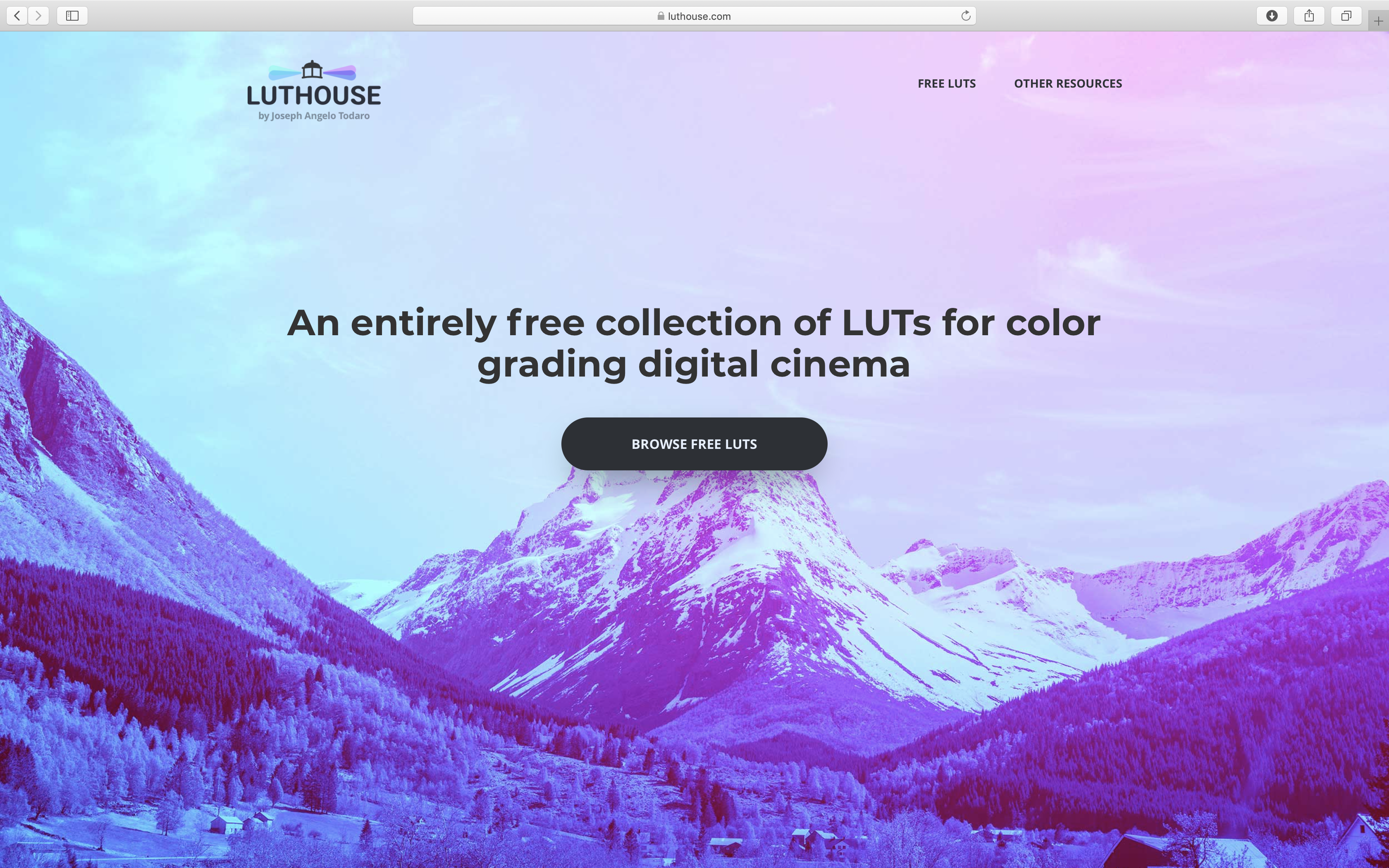 Luthouse gallery image