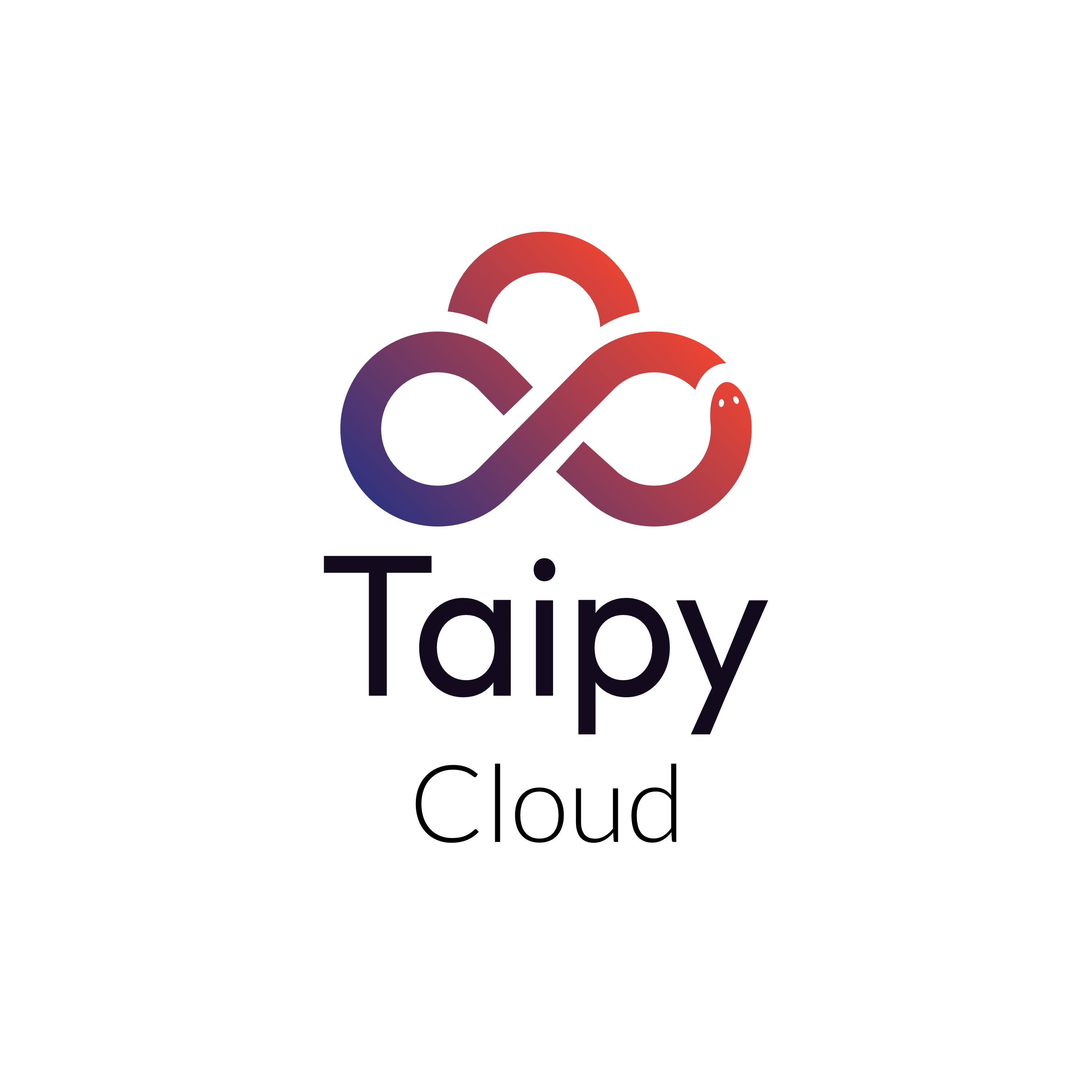 Taipy Cloud logo