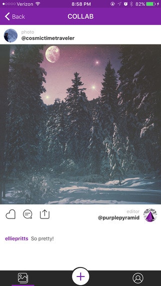 Hippo Pics gallery image