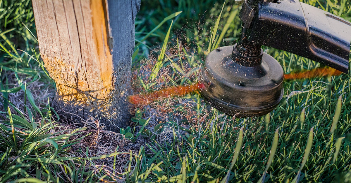 Post Shields gallery image