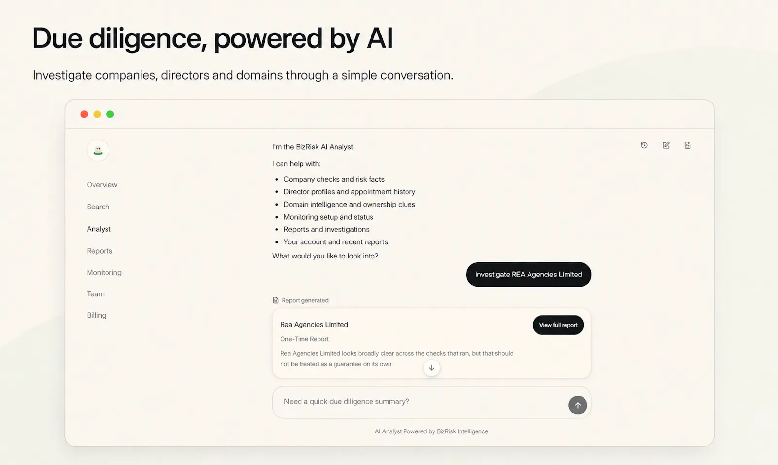 BizRisk AI Analyst screenshot 1