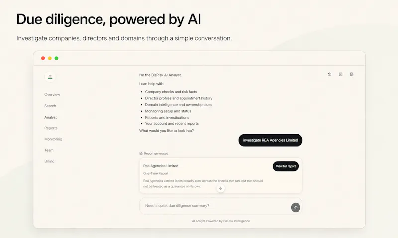 BizRisk AI Analyst screenshot 1
