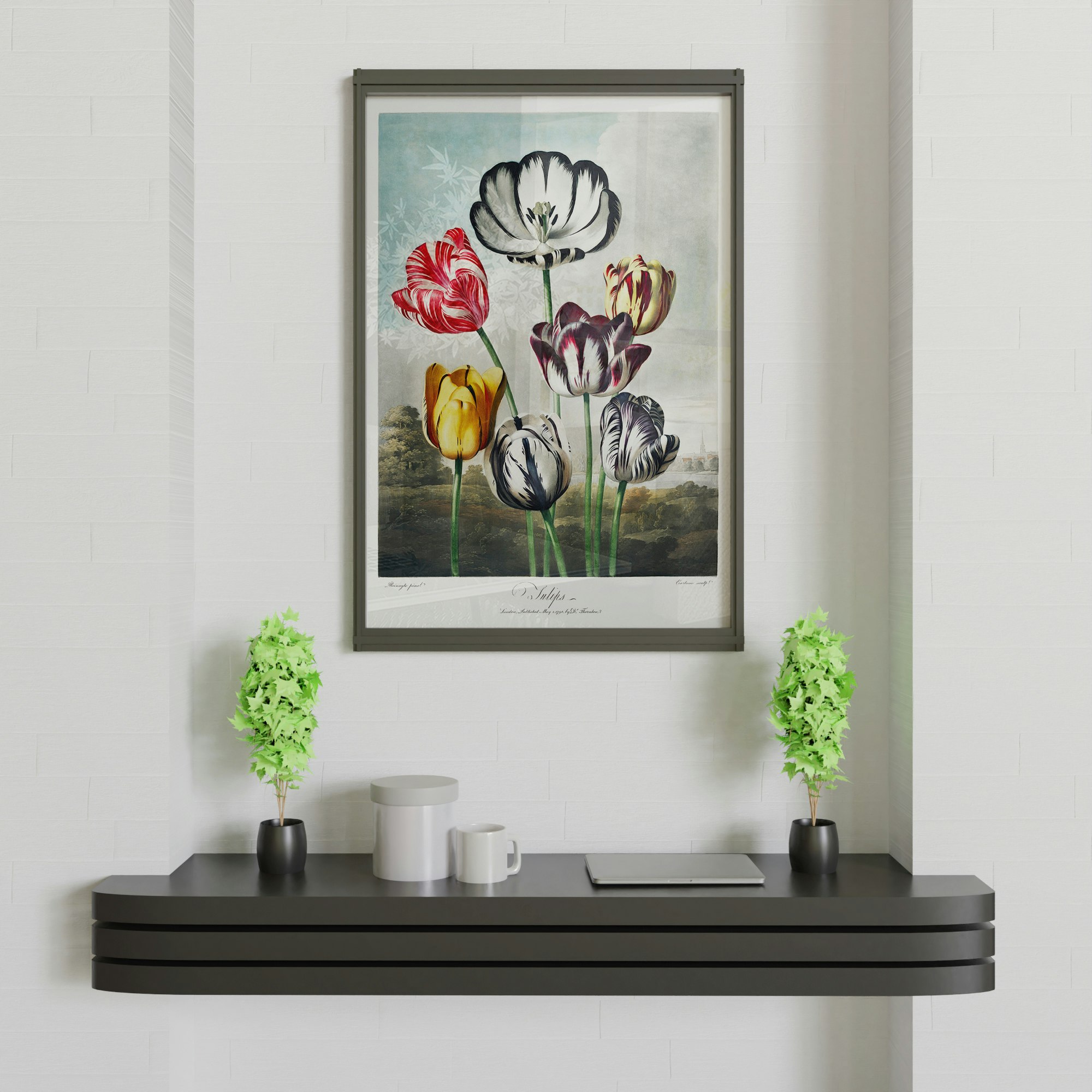 Illustrated Prints Co gallery image