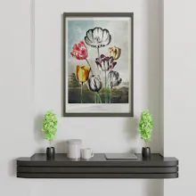 Illustrated Prints Co gallery image