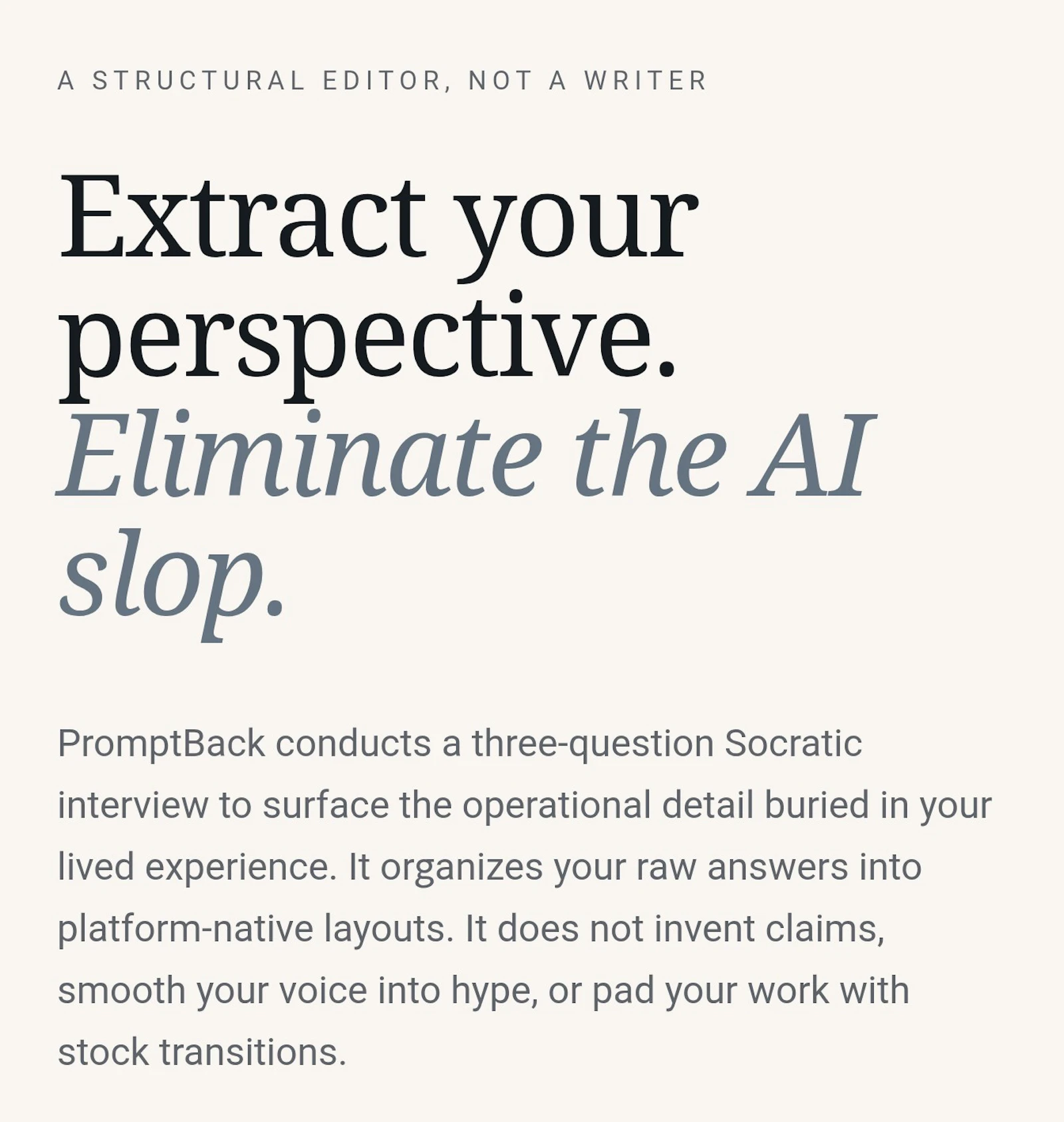 PromptBack screenshot 2