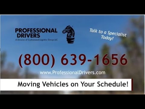 Professional Drivers  gallery image