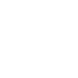 Bands Of The Week gallery image