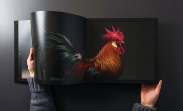 CHICken gallery image