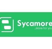 Sycamore NG gallery image