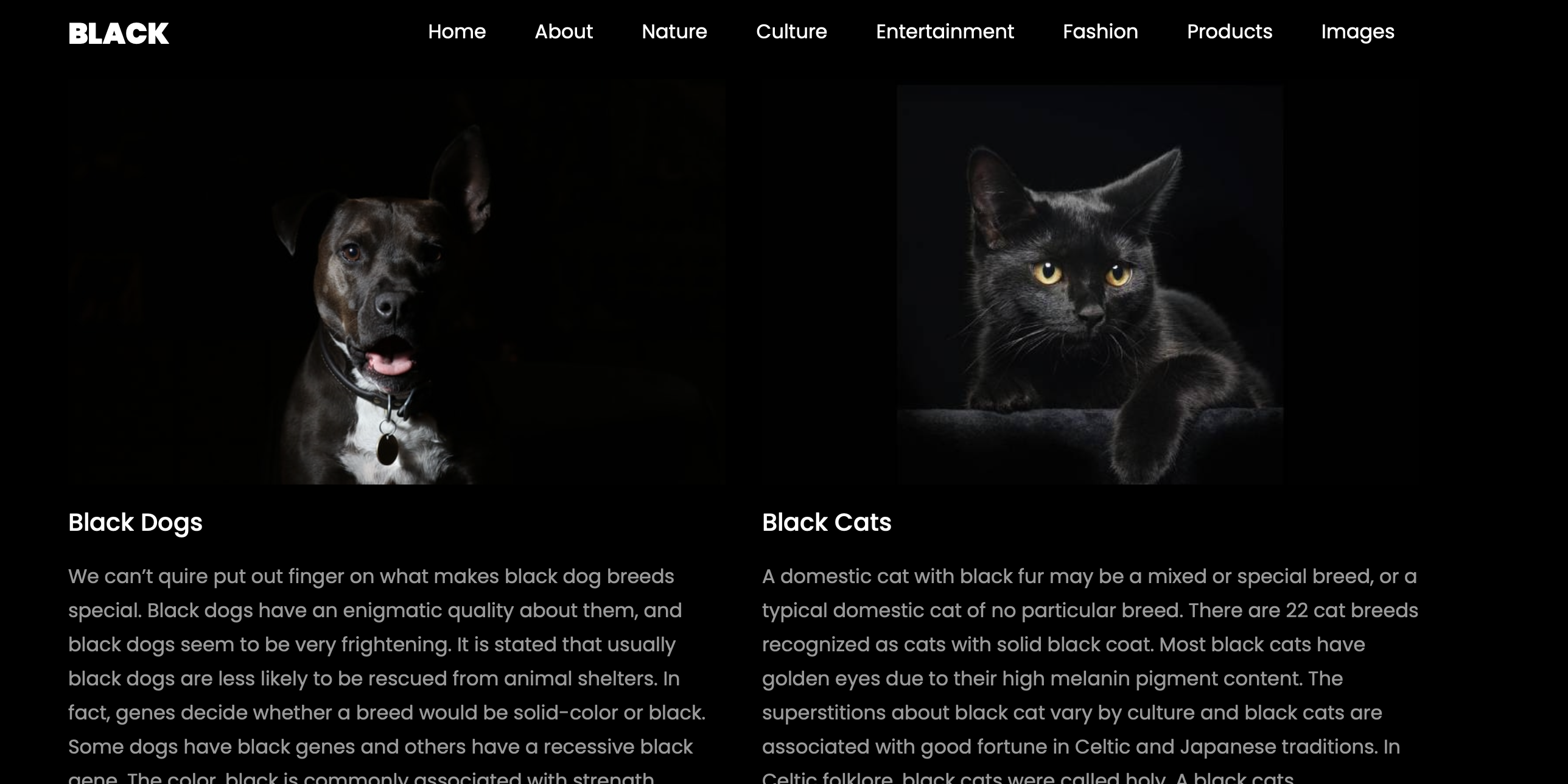 Blackew gallery image