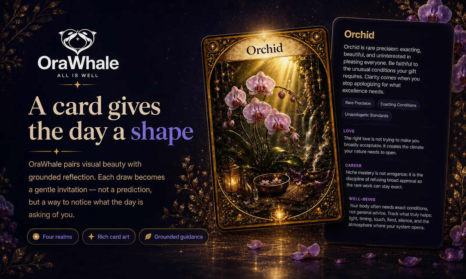 OraWhale screenshot 3