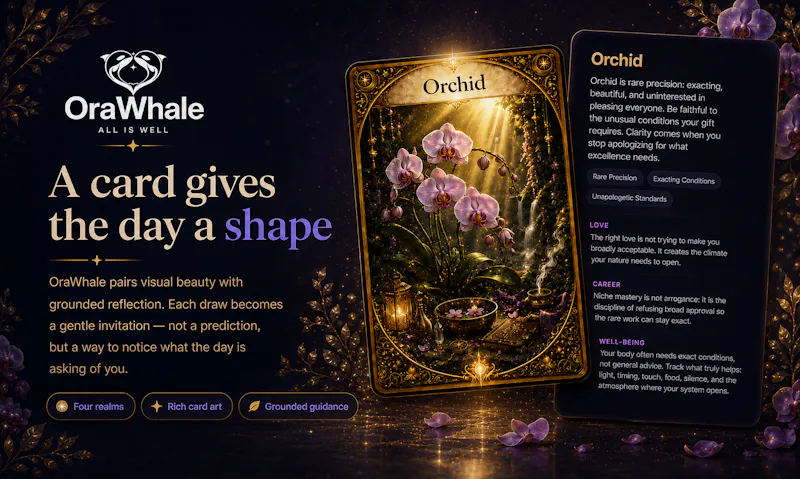 OraWhale screenshot 3