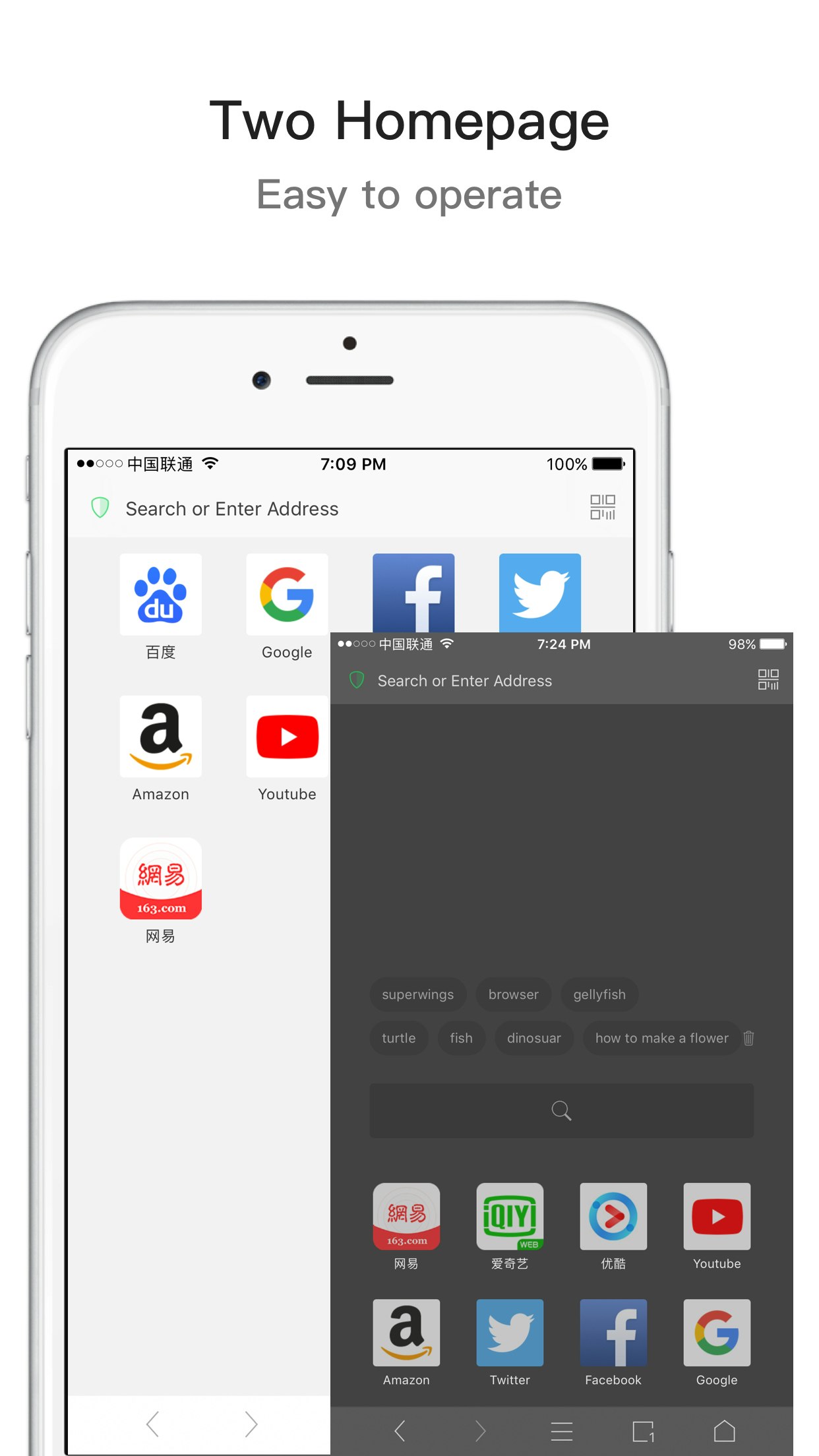 Take  Browser gallery image