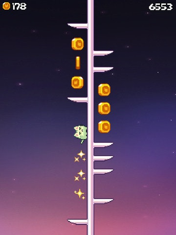 DonutCat gallery image