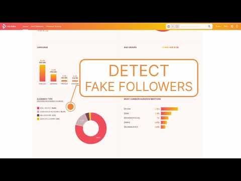 Influencer-Suchtool | influData gallery image