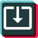 TikTok Video Downloader