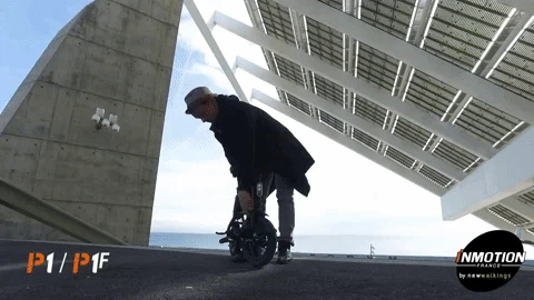 Electric mini bike InMotion P1F