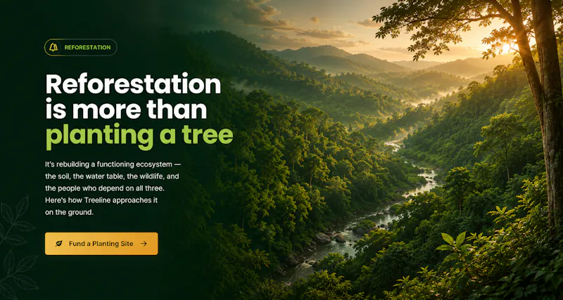 Treeline screenshot 1