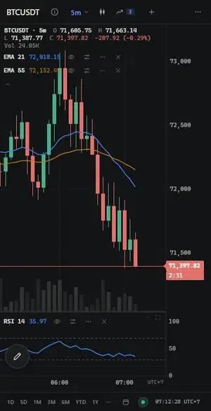Tradecanvas - Trading Chart Library gallery image