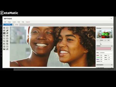 WP Paint gallery image