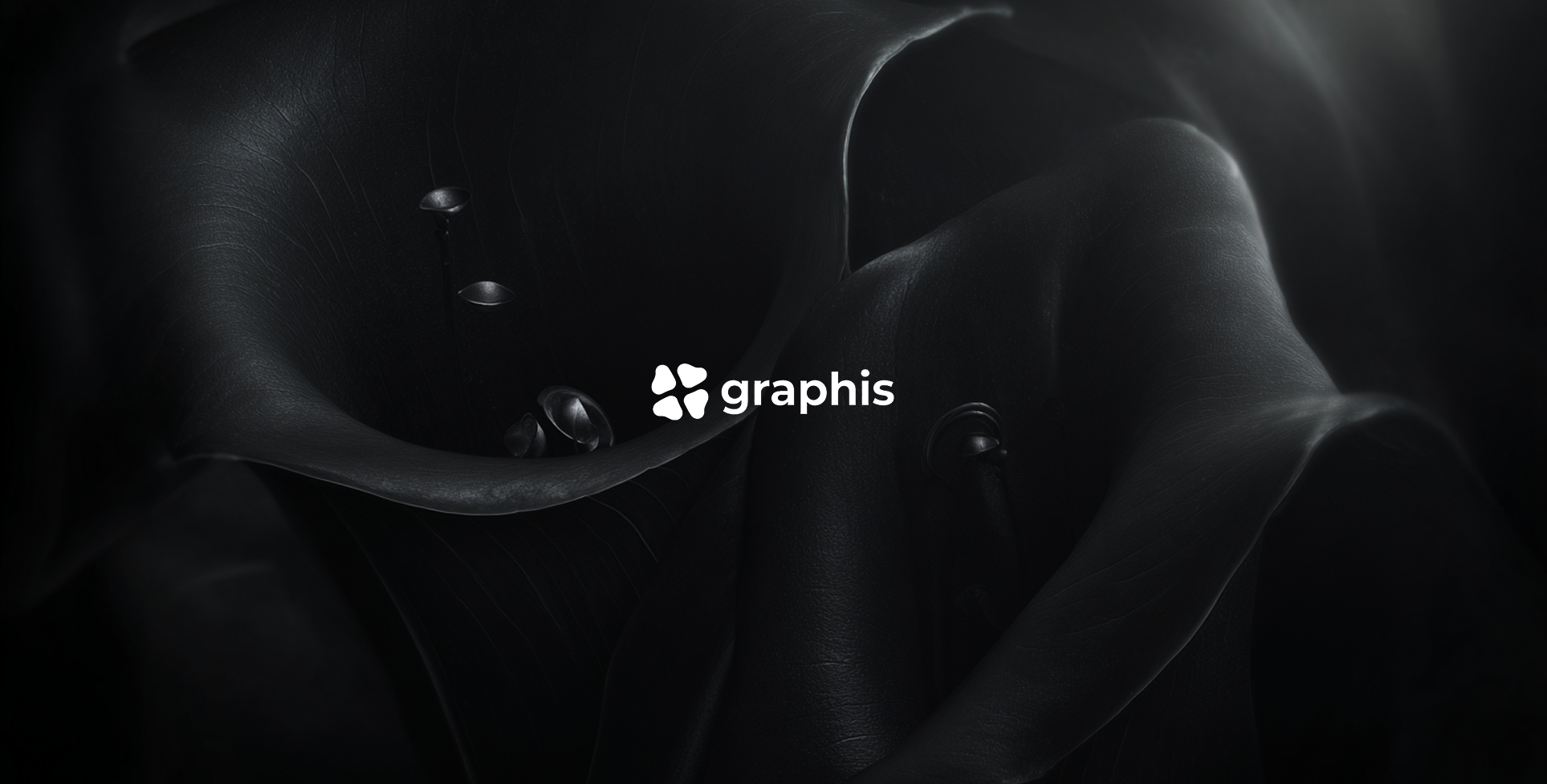 Graphis gallery image