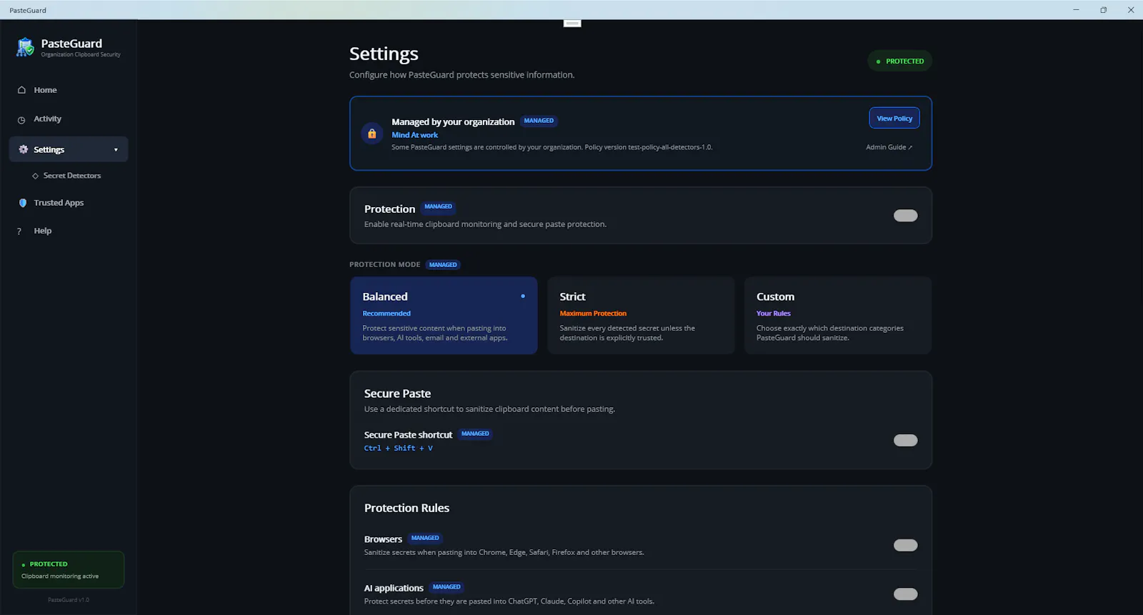 PasteGuard screenshot 12