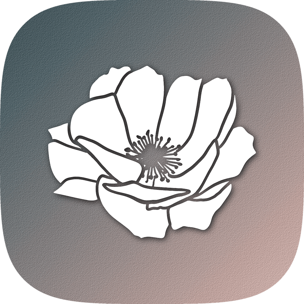 Anemone para profissionais de casamento