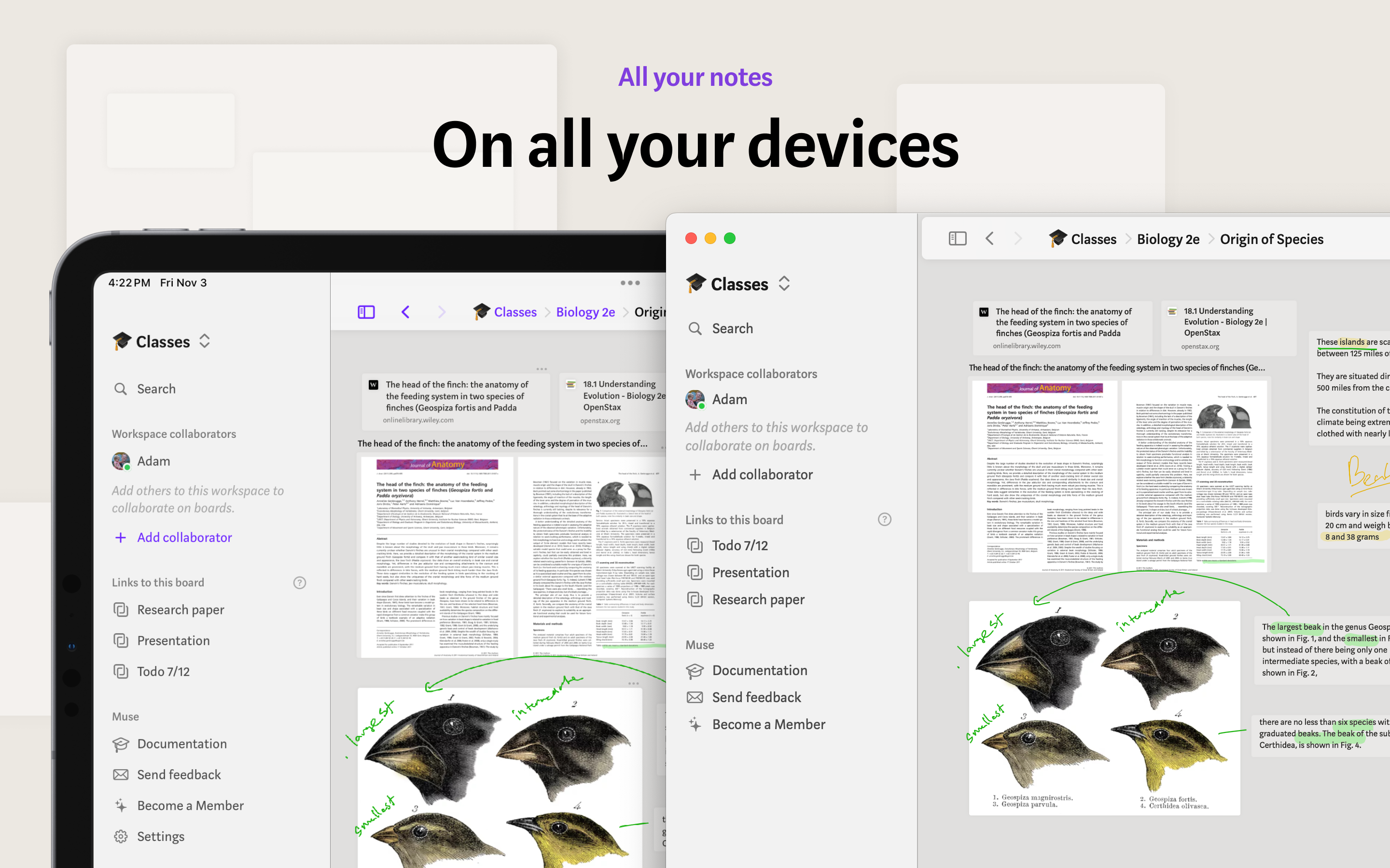 Muse for Setapp media 3