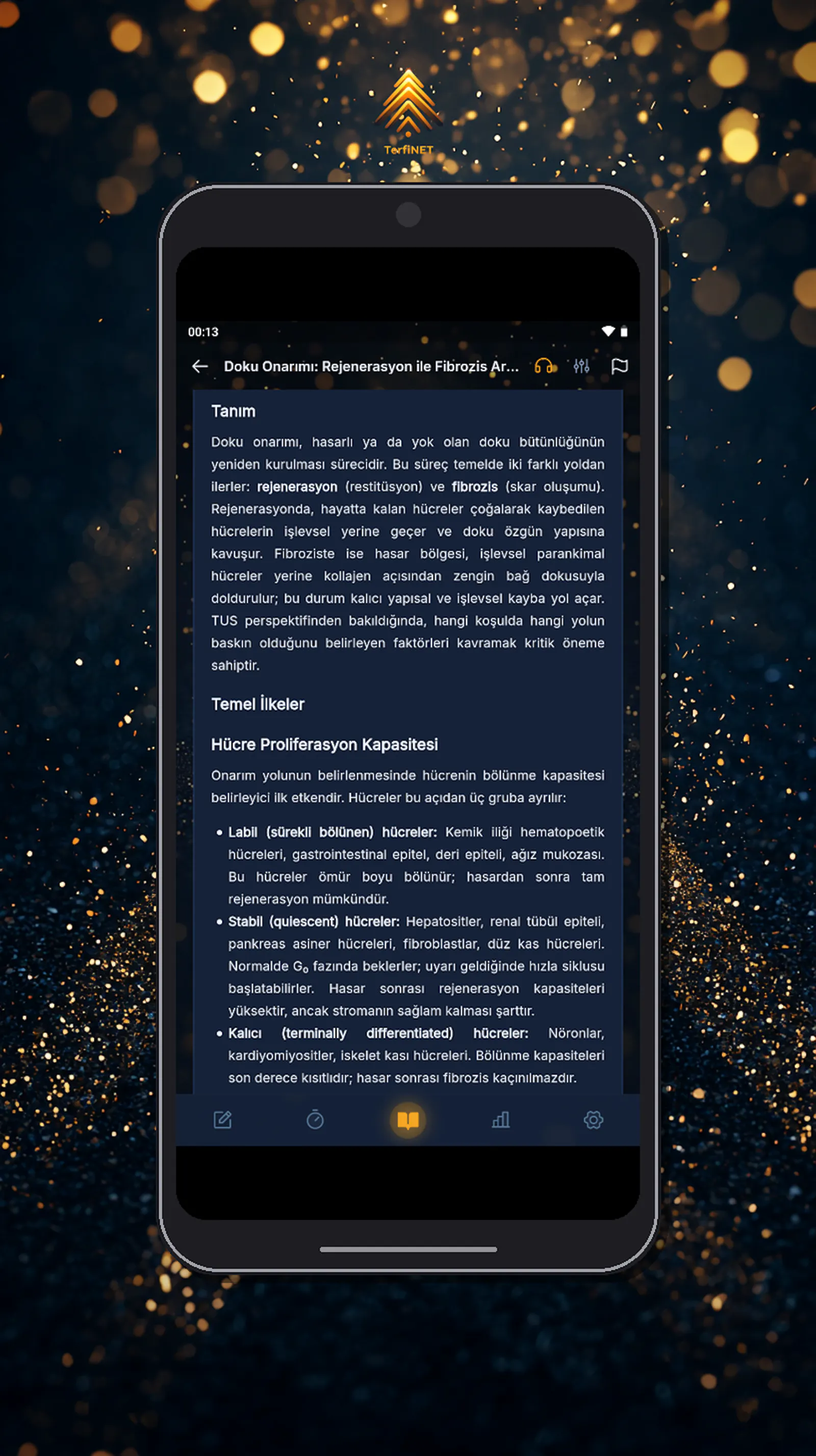 TerfiNET screenshot 47