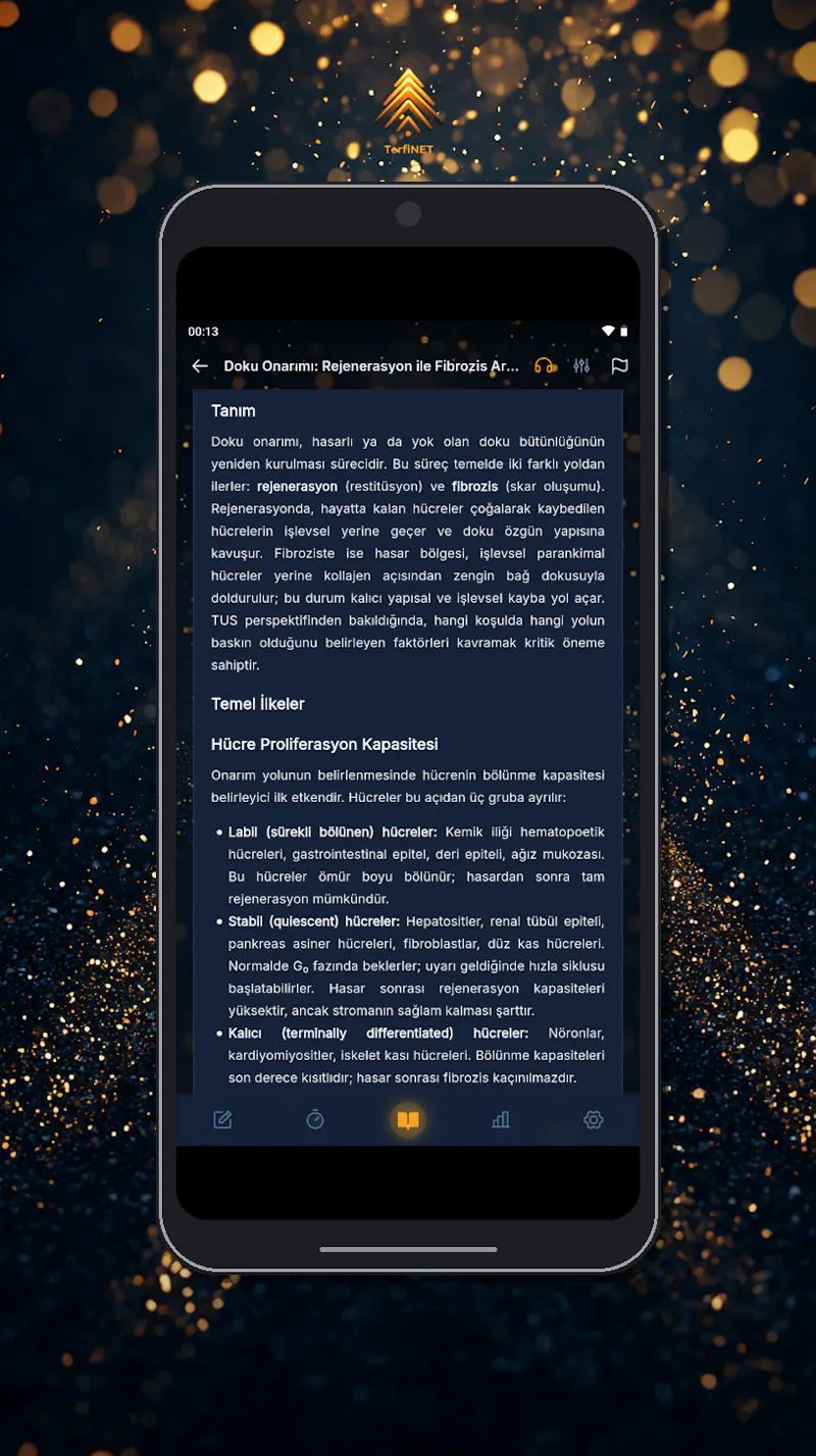 TerfiNET screenshot 47