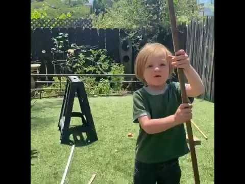 Junior Science Fair gallery image