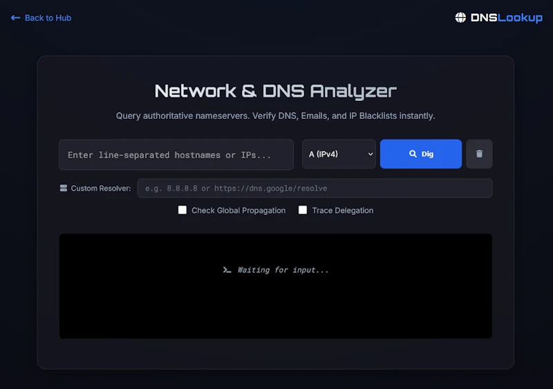 DNS Lookup & Dig Tool screenshot 2