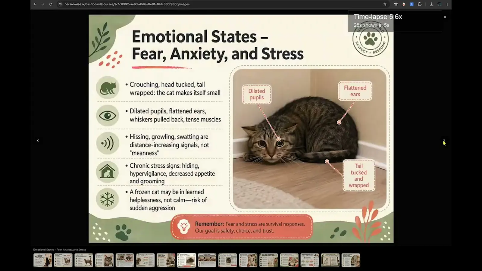 PersonWise screenshot 1 (video preview)
