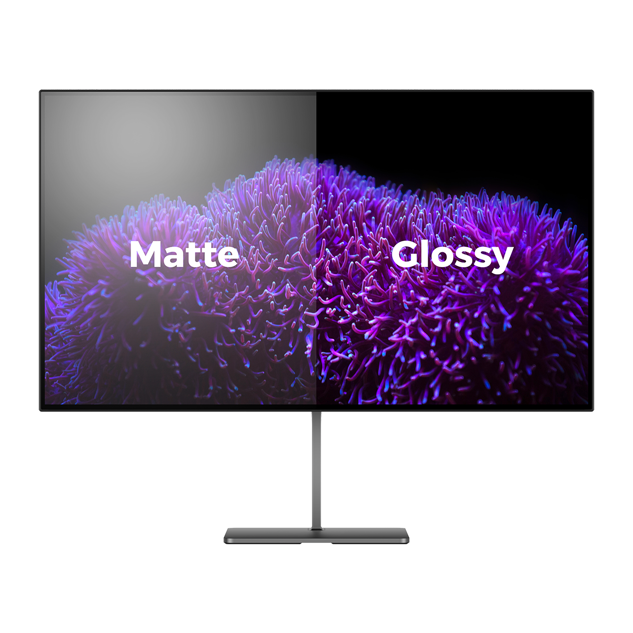 Spettro dell'impasto OLED QHD 240Hz 0,03ms media 4