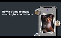 Kitty Nip - Cat Centric Dating app media 1