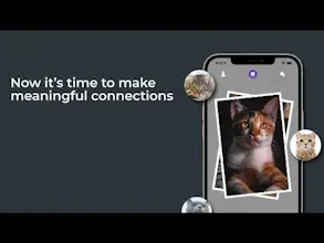 Kitty Nip gallery image